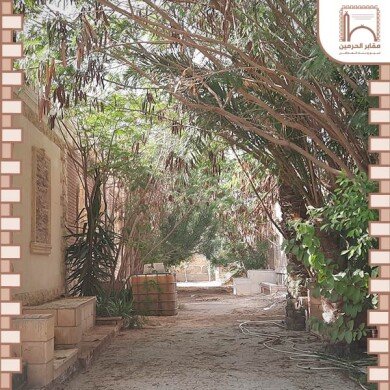 مدافن للبيع